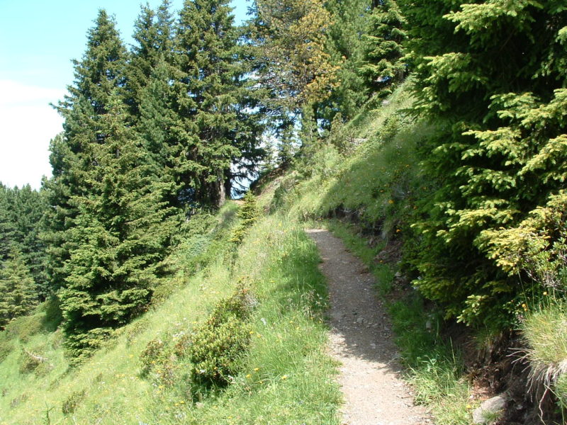 Dialer Trail