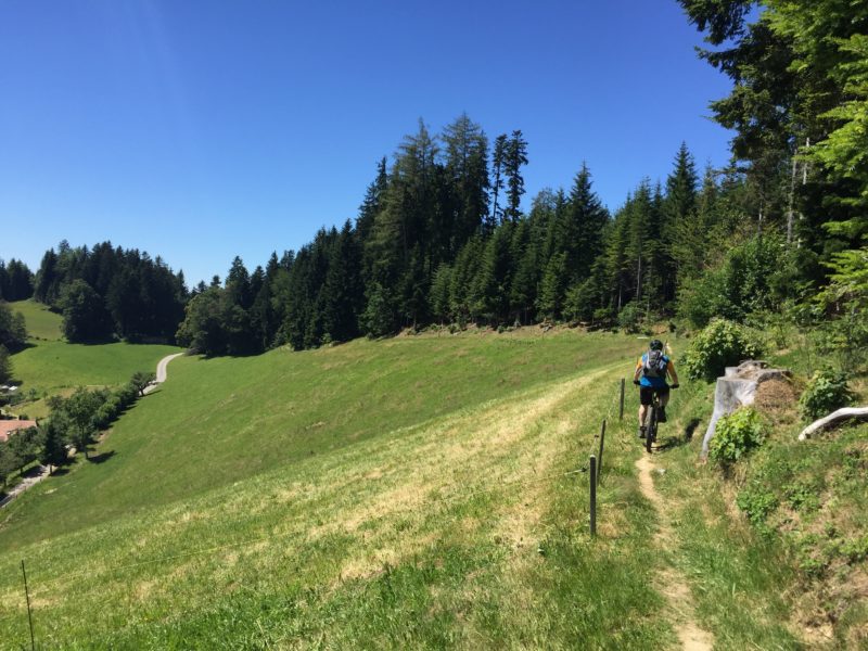 Chrutbärg-Trail