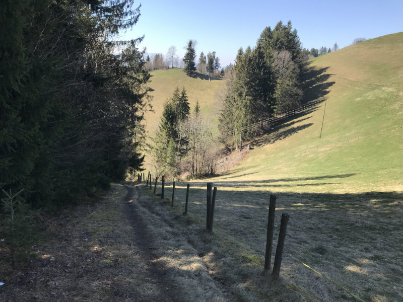 Linden Trail