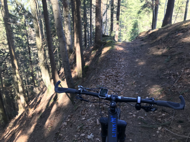 Fuchsegg Trail