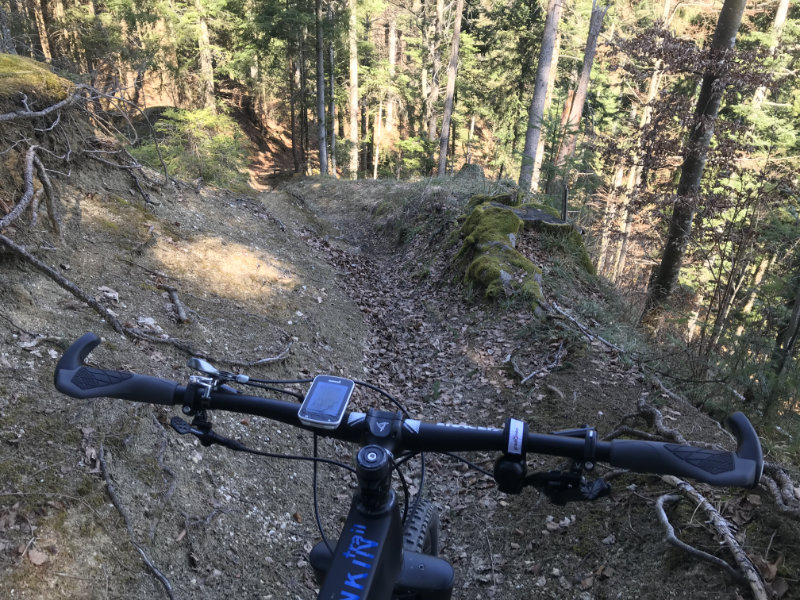 Fuchsegg Trail