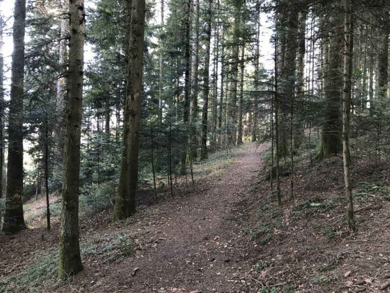 Schönenwasen-Trail