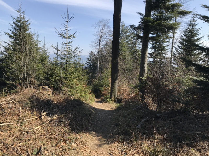 Waldhäusern Trail