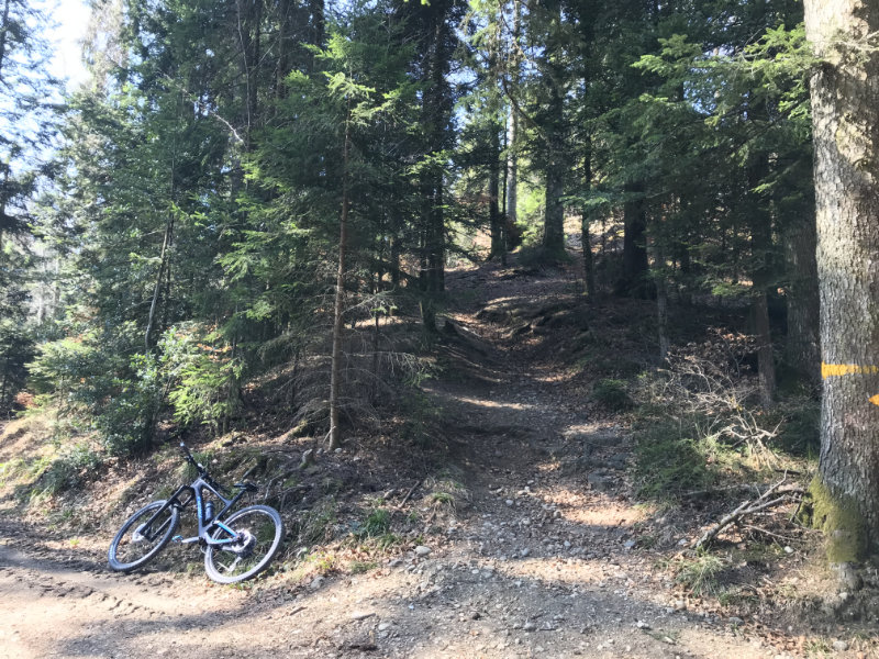 End of Waldhäusern Trail