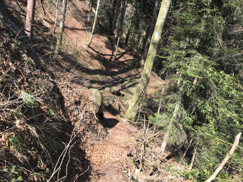 Hargarten Trail