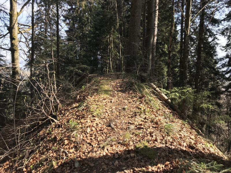 Hargarten Trail
