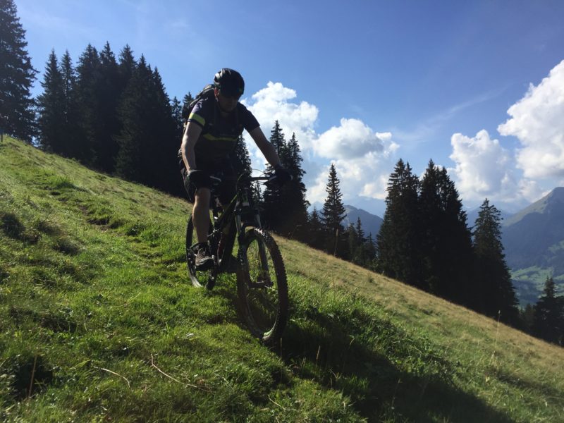 Bergwiesen-Trail Berschel