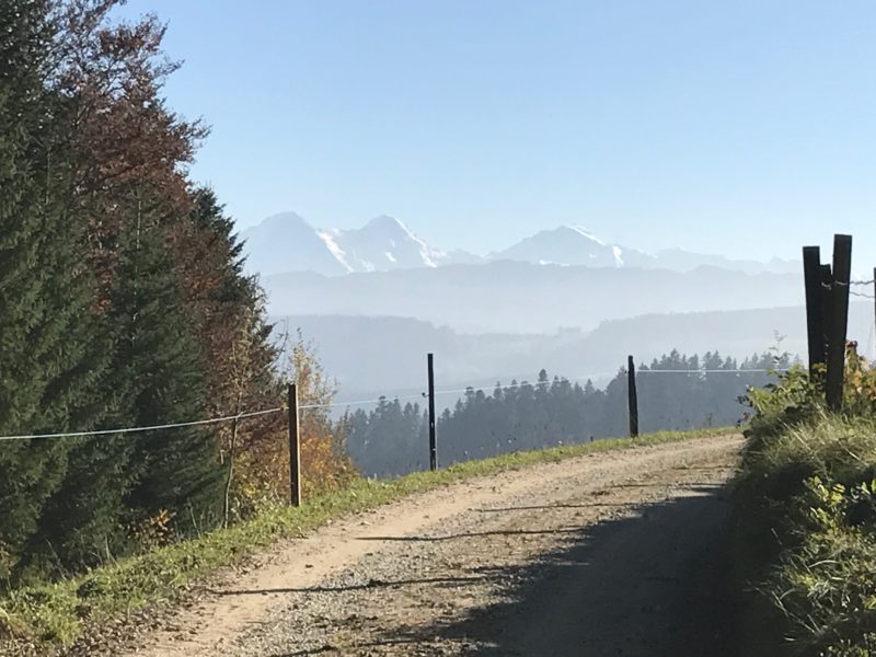 Ausblick zwischen Rainsbergalp und Häuslenbach