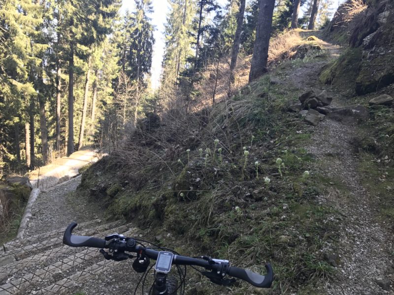 Gurnigel-Trail