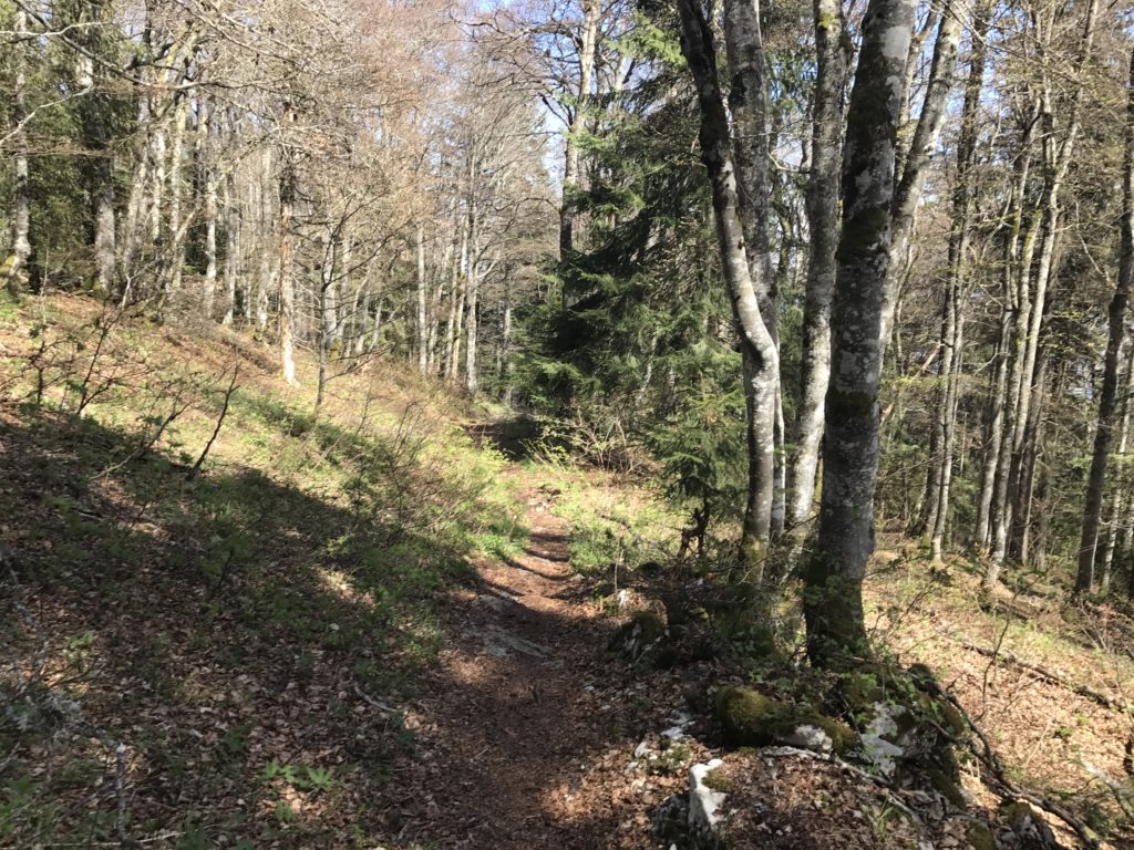Gorgier Trail