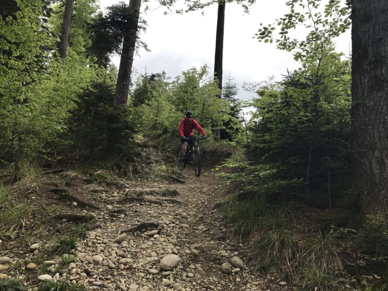 Waldhäusern Trail