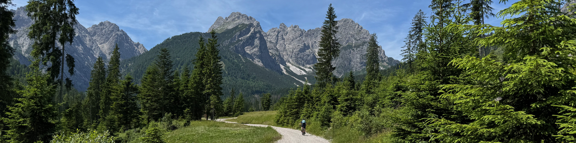 GravityBienchen in da Bosco