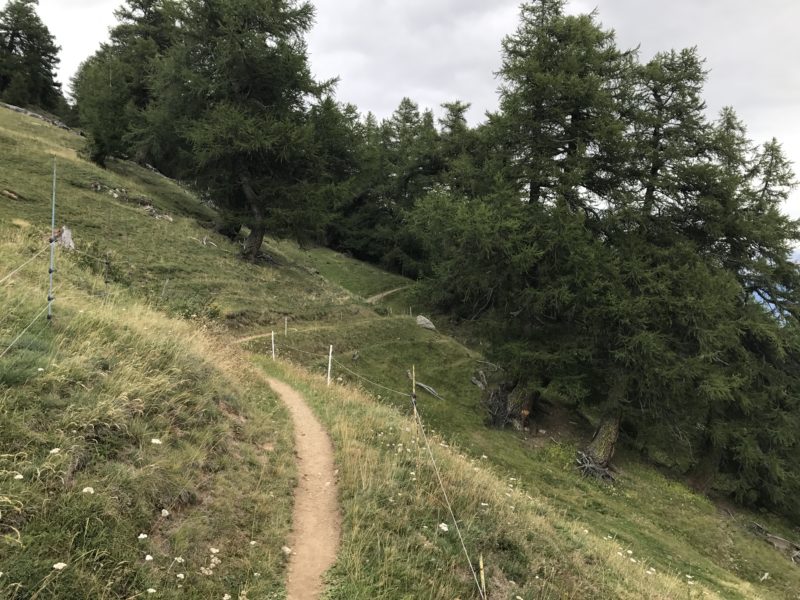 Bachalp Trail