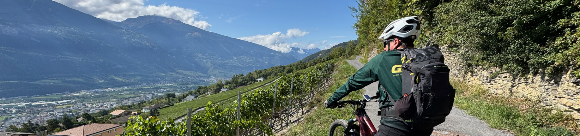 FlowtrailRider in da Weinberge