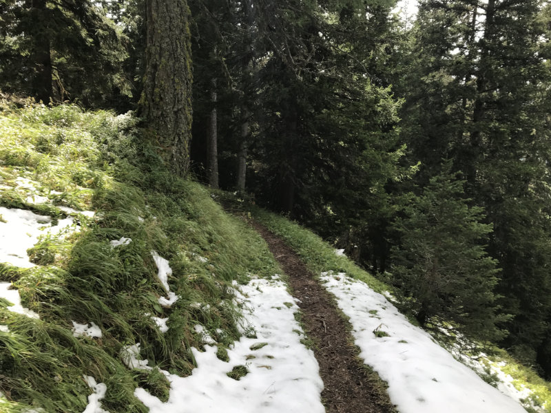 Alpinum Trail