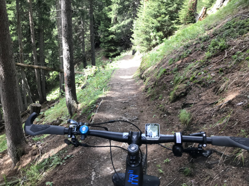 The Erb to Stafelalp Trail
