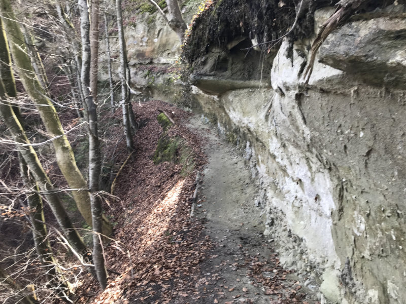 Wartenstein Trail - Felswand