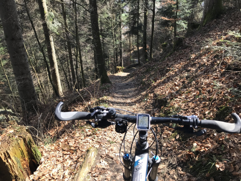 Wartenstein Trail
