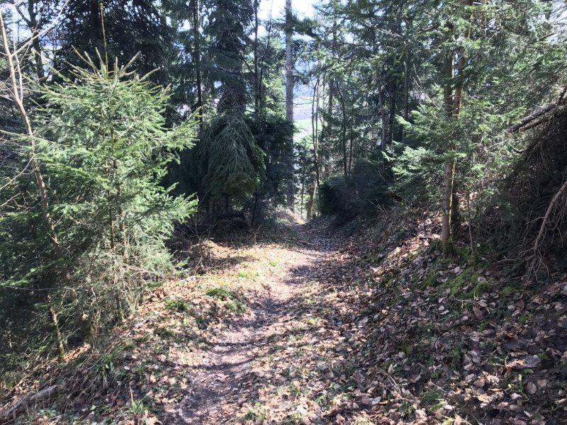 Wartenstein Trail - unten