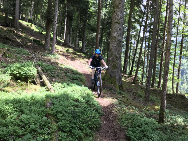 Bärbach Trail