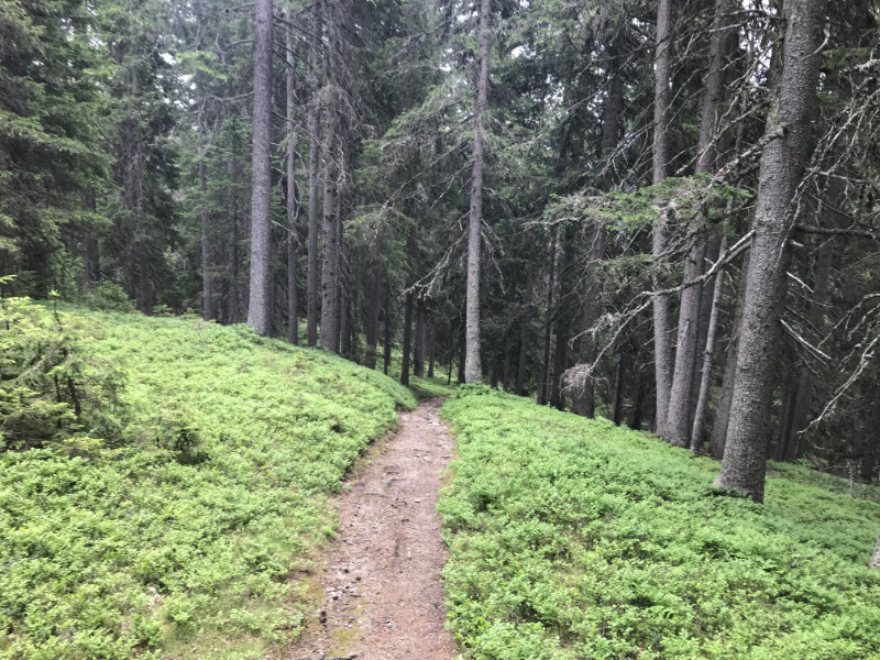 Bodeneck-Trail