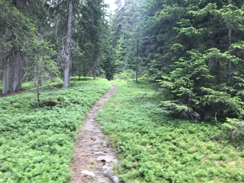 Bodeneck-Trail
