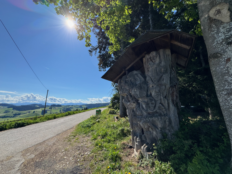 Holzbaukunst auf der Aspiegg
