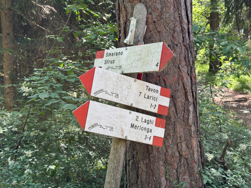 Where to go...?