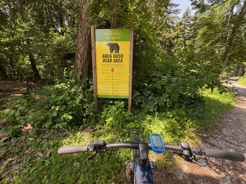 Da Bear Area...