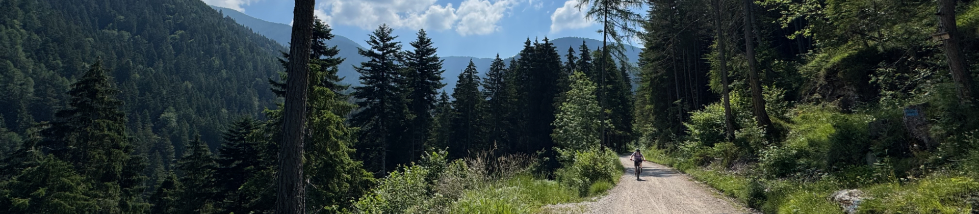 GravityBienchen in da Val di Verdes