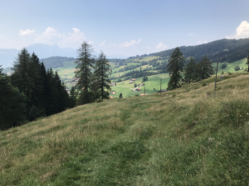 Schwanden Trail