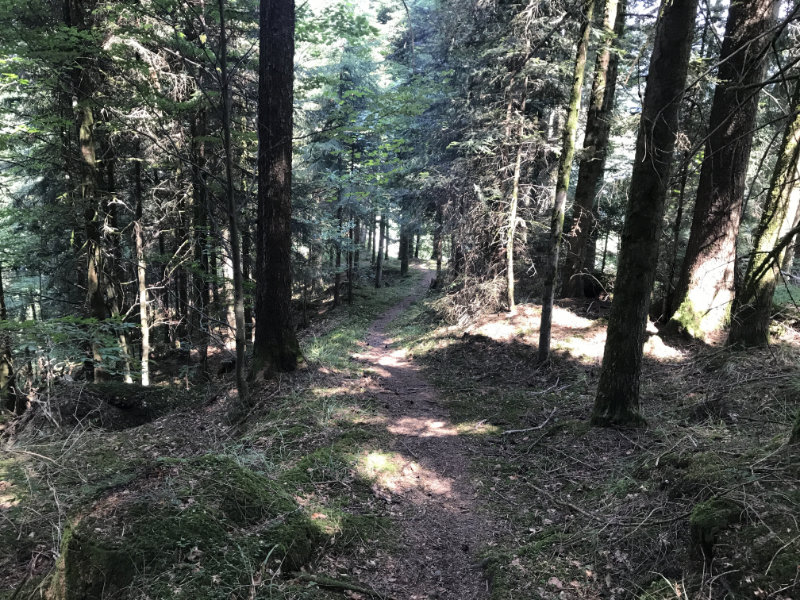 Blueme Nord Trail