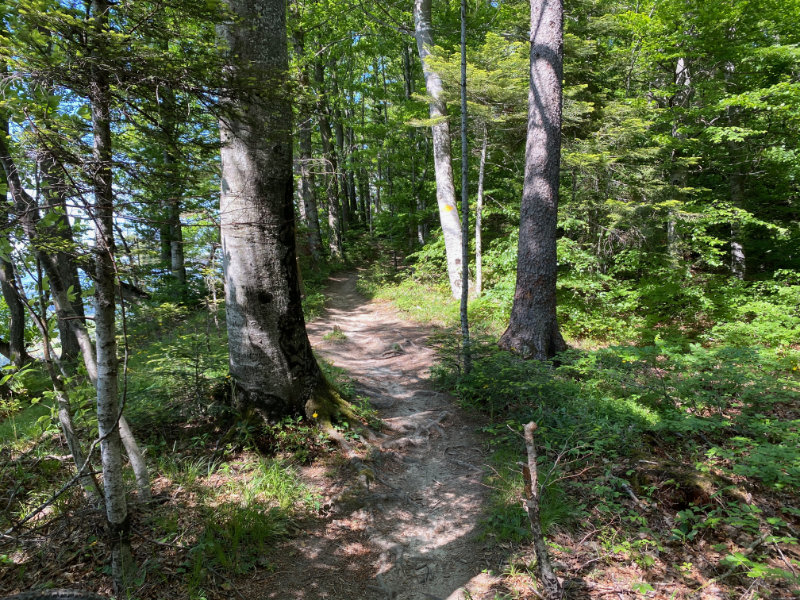 Riedereflue Trail