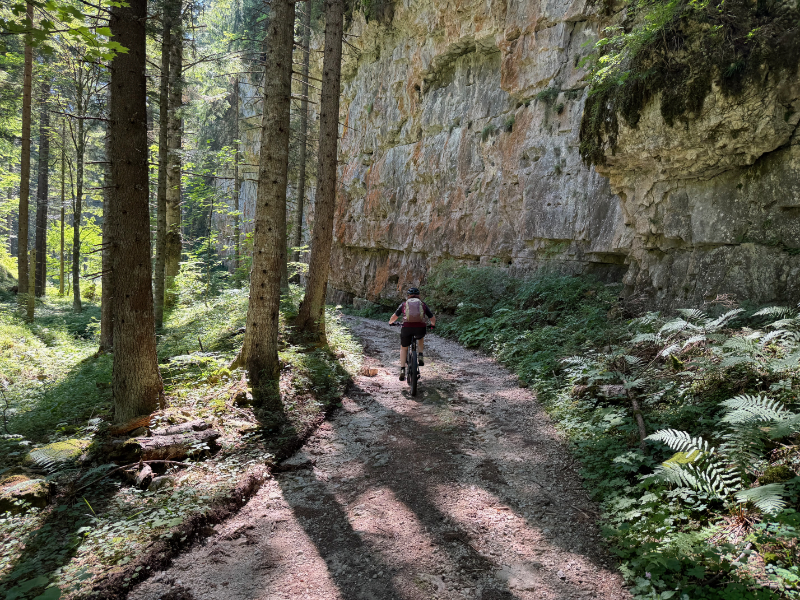 GravityBienchen in da Schlucht
