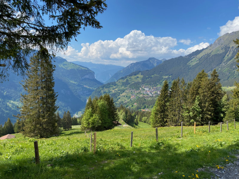 View on Wengen