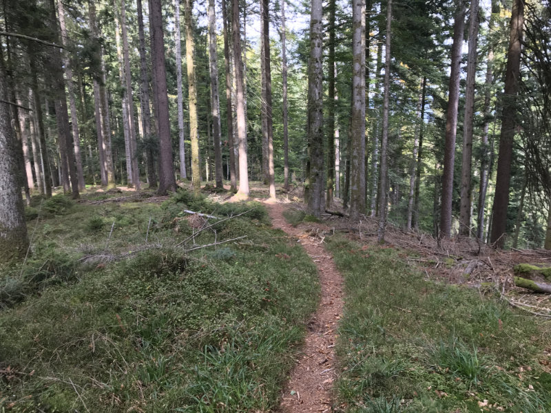 Edge Trail