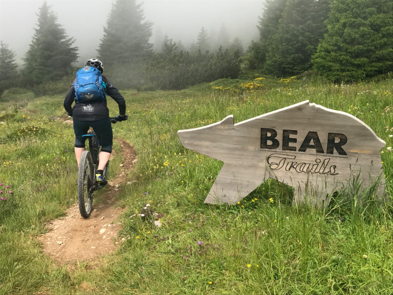 Bear Trails