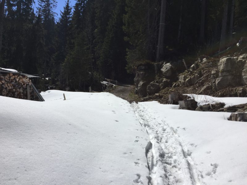 Schneefeld am Grünenbergpass