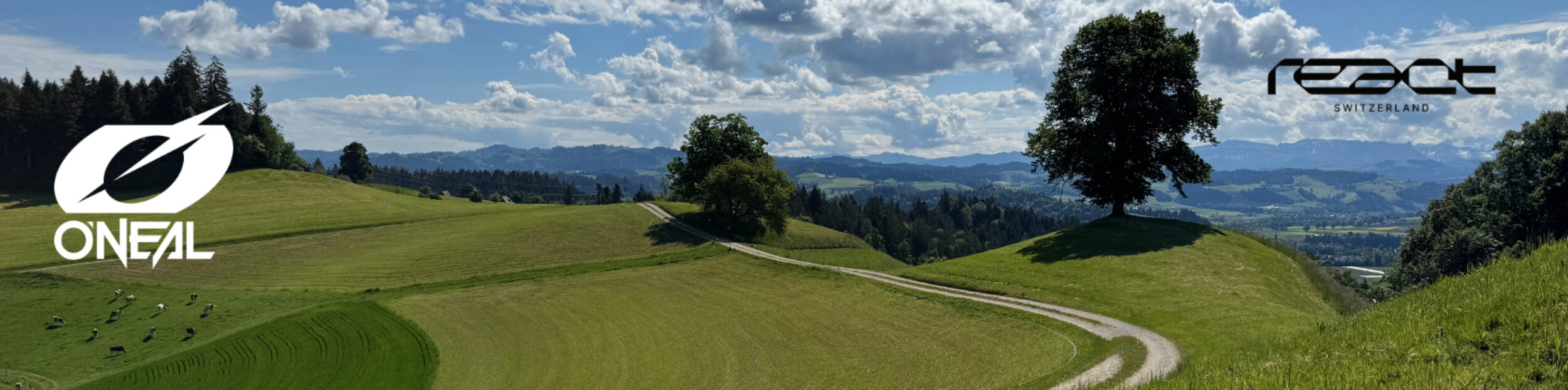 MTB Emmental